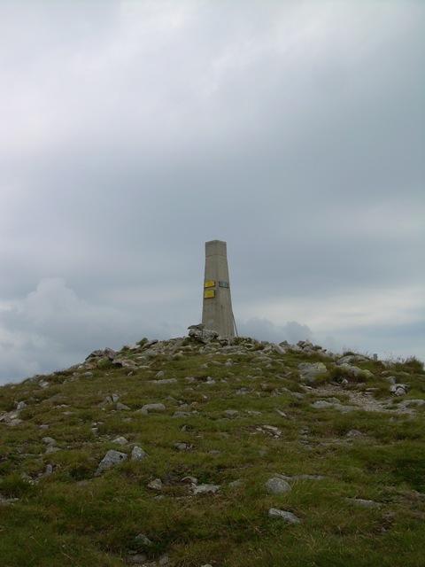 DSCN6840