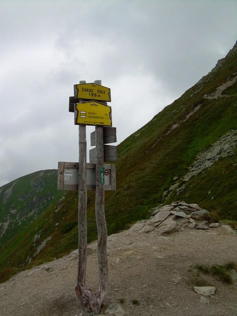 DSCN6847